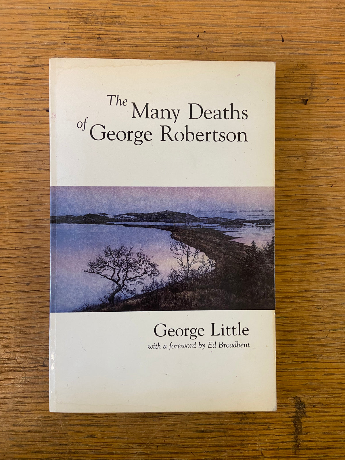 Book, Fiction, George Little, The Many Deaths of George Robertson, Front view