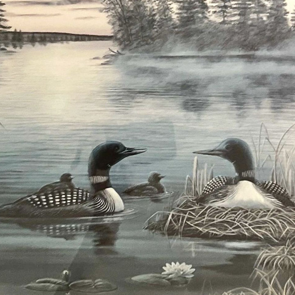 print, Waterfowl Unknown Artist, Cover view