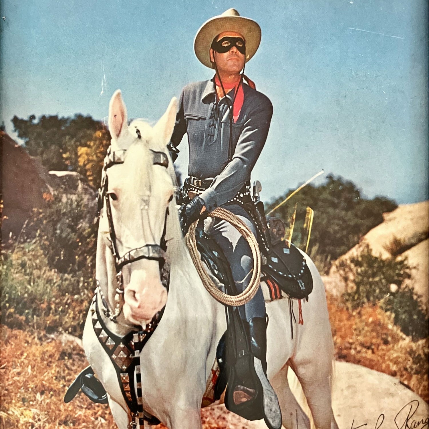 print, Portrait, Animals, Film Nestle, Cover view