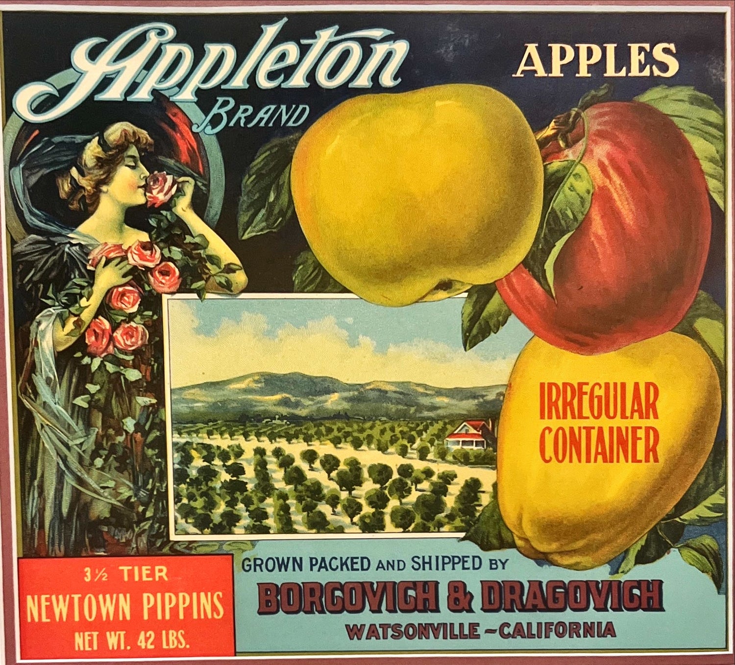 Print, Advertisement, Appleton, Art view