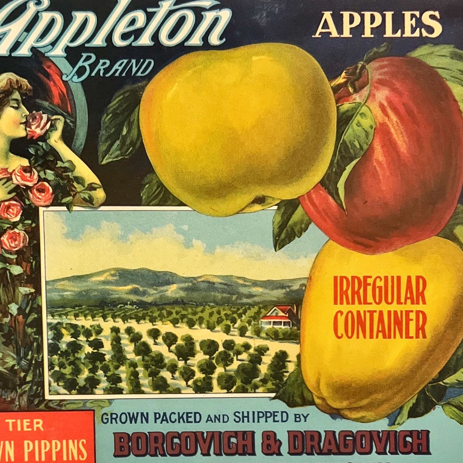 print, Advertisement Appleton, Cover view