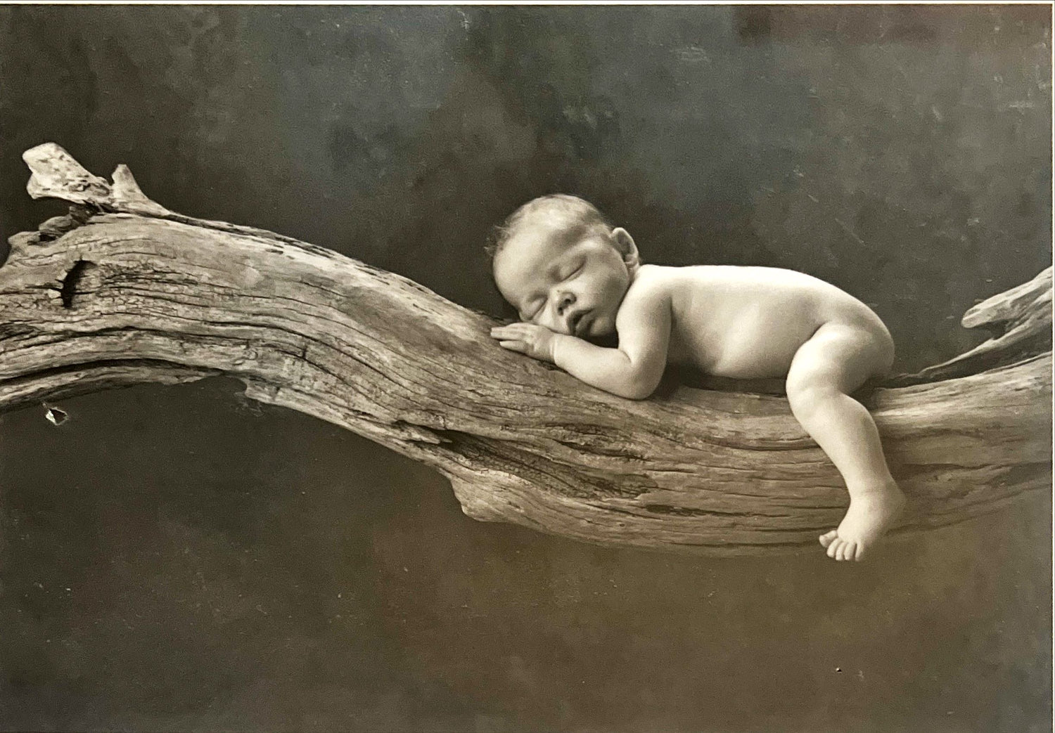 Print, Portrait, Anne Geddes, Art view