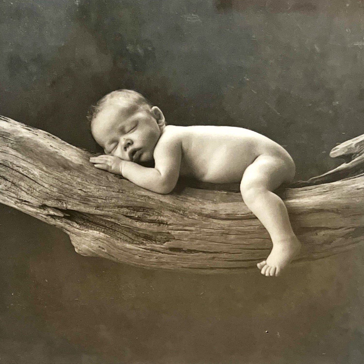 print, Portrait Anne Geddes, Cover view