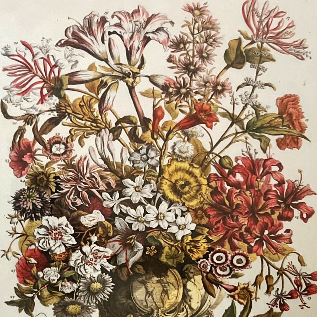 print, Floral Unknown Artist, Cover view