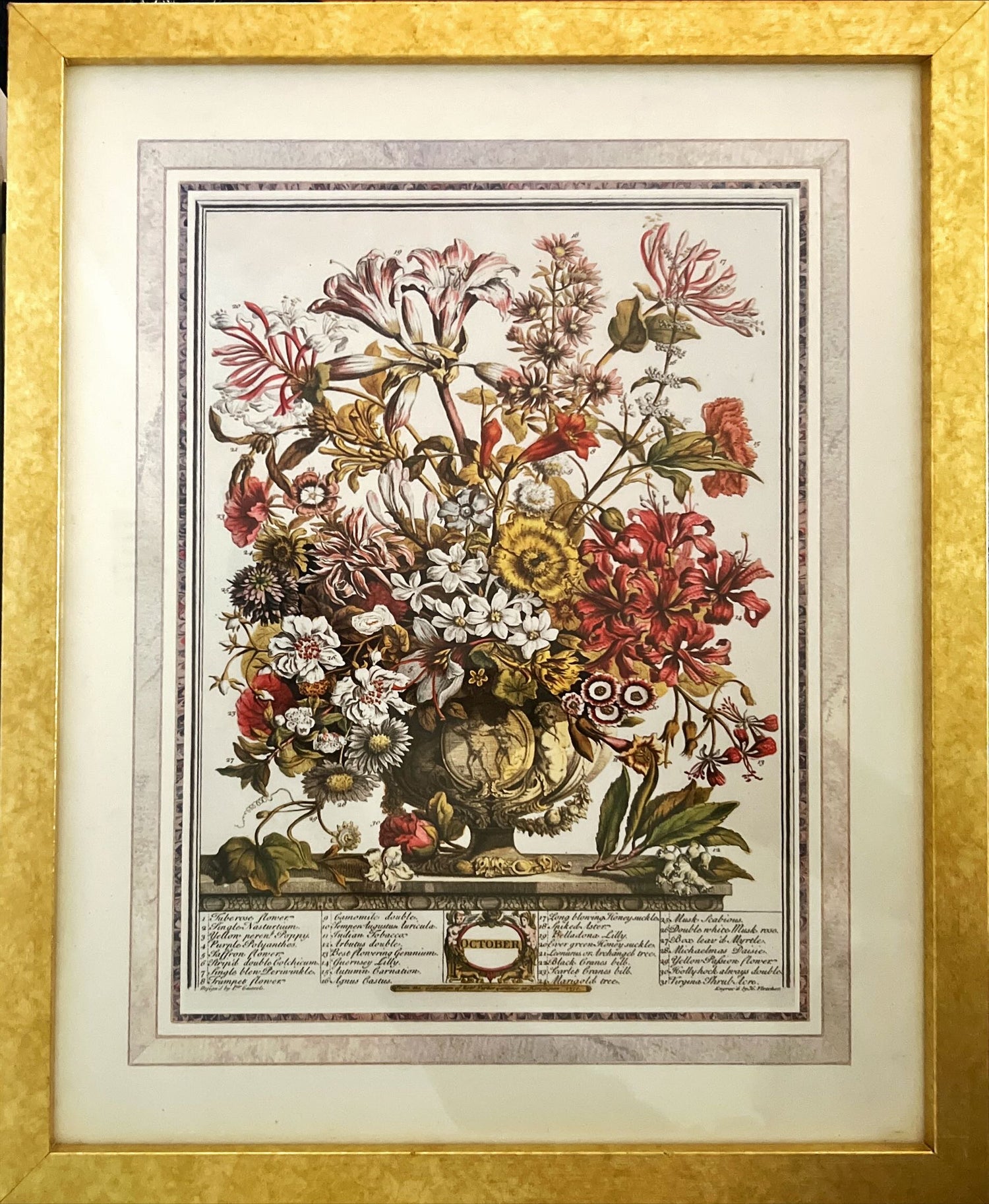Print, Floral, Unknown Artist, Front view