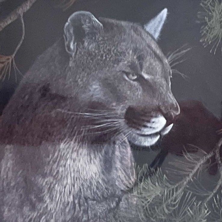 print, Animals Randy Fehr, Cover view