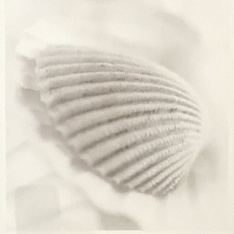 print, Still Life Unknown Artist, Cover view