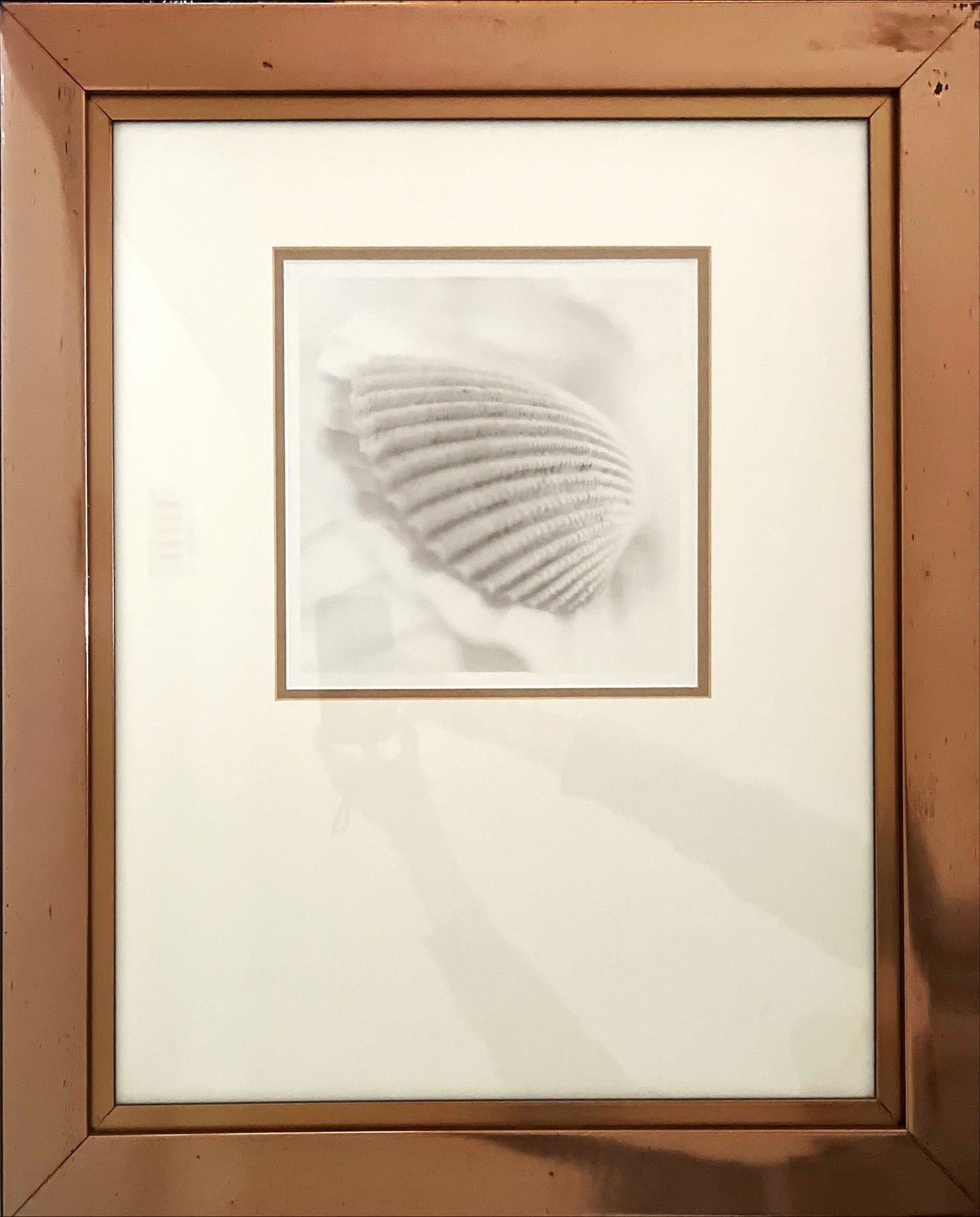 Print, Still Life, Unknown Artist, Front view