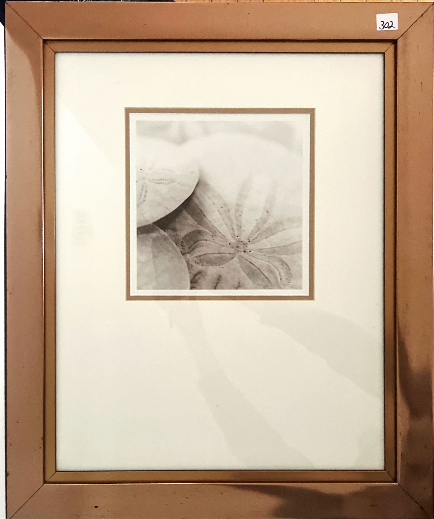 Print, Still Life, Unknown Artist, Front view