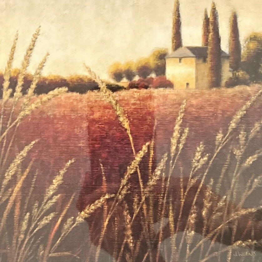 print, Landscape J. Wiens, Cover view