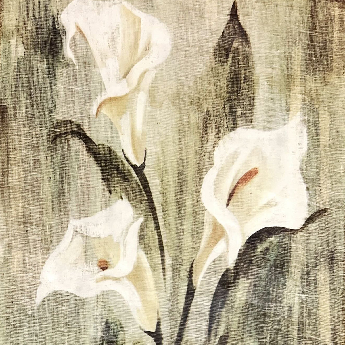 print, Floral Unknown Artist, Cover view