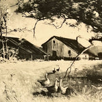print, Landscape, Farm Julian Rix, Cover view