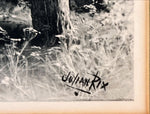 Print, Landscape, Farm, Julian Rix, Signature view