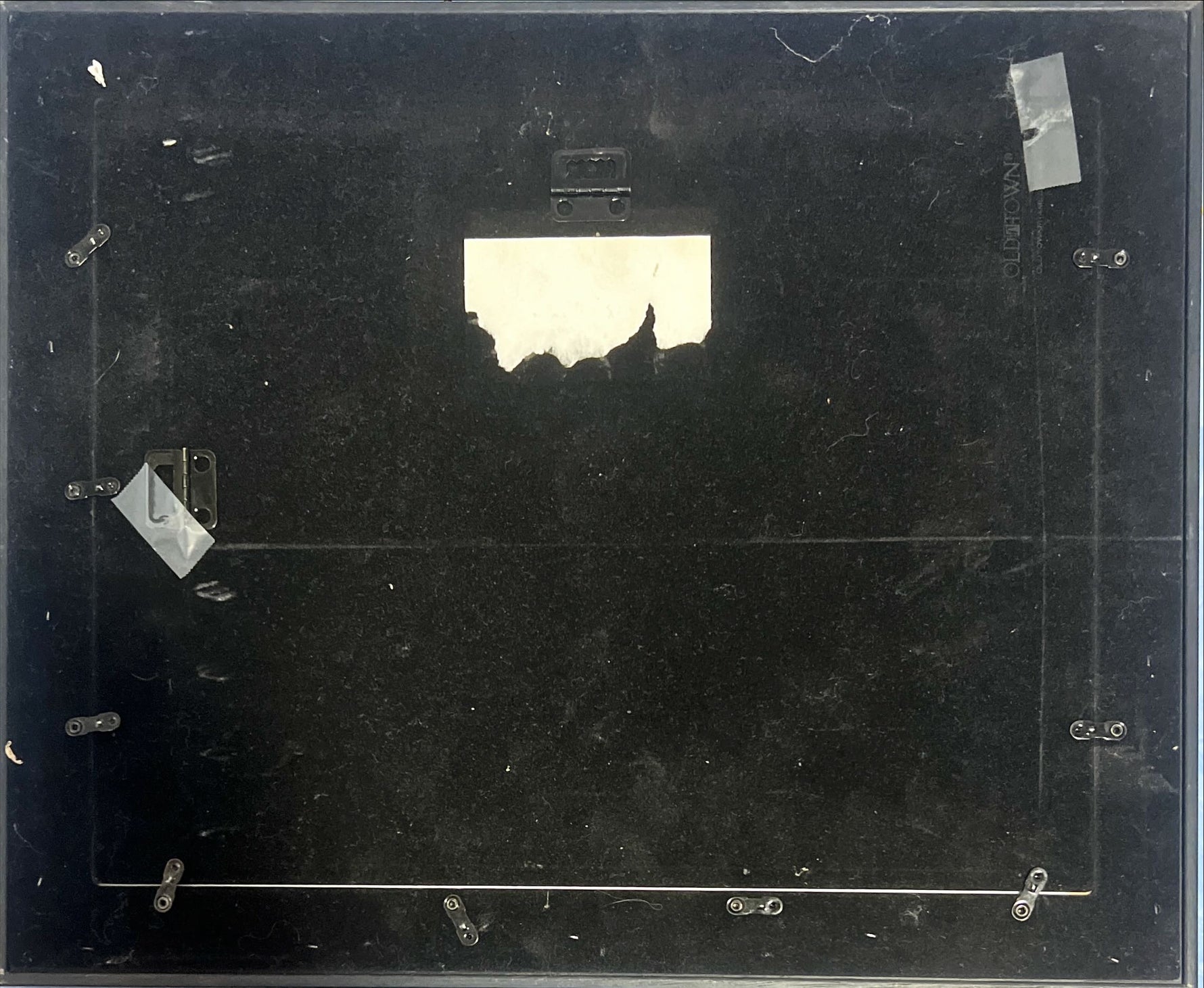 Print, Birds, Darrel A. Spencer, Back view