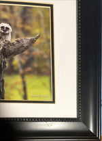 Print, Birds, Darrel A. Spencer, Damage view