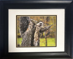 Print, Birds, Darrel A. Spencer, Front view