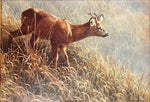 Print, Animals, Robert Bateman, Art view