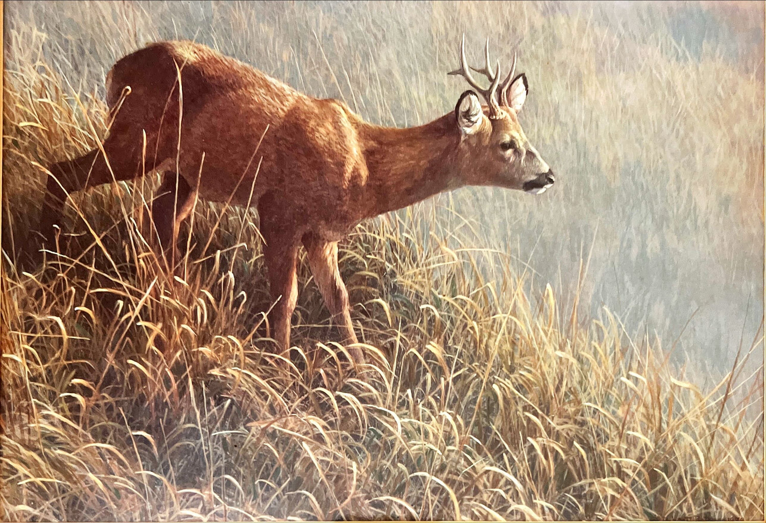 Print, Animals, Robert Bateman, Art view