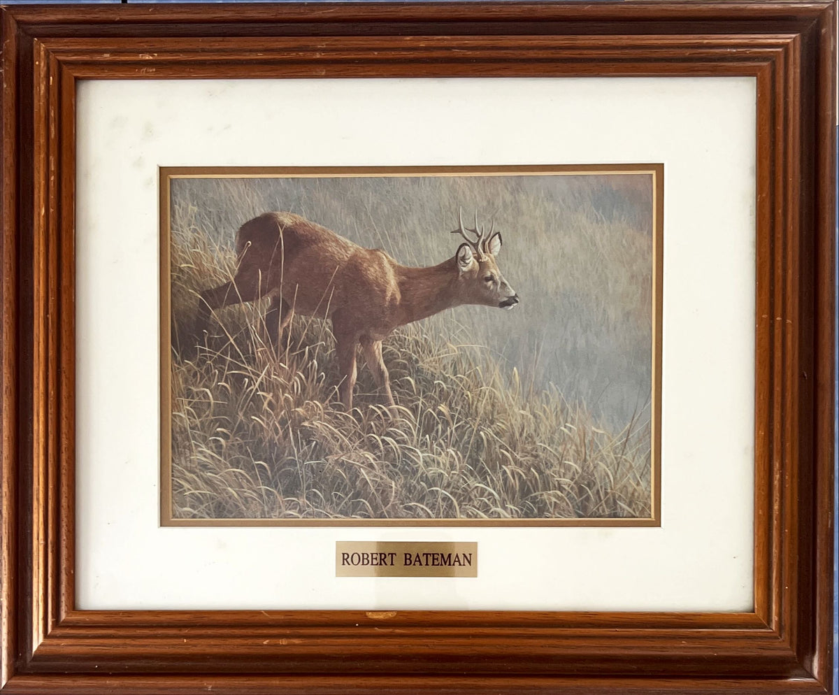 Print, Animals, Robert Bateman, Front view