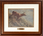 Print, Animals, Robert Bateman, Front view