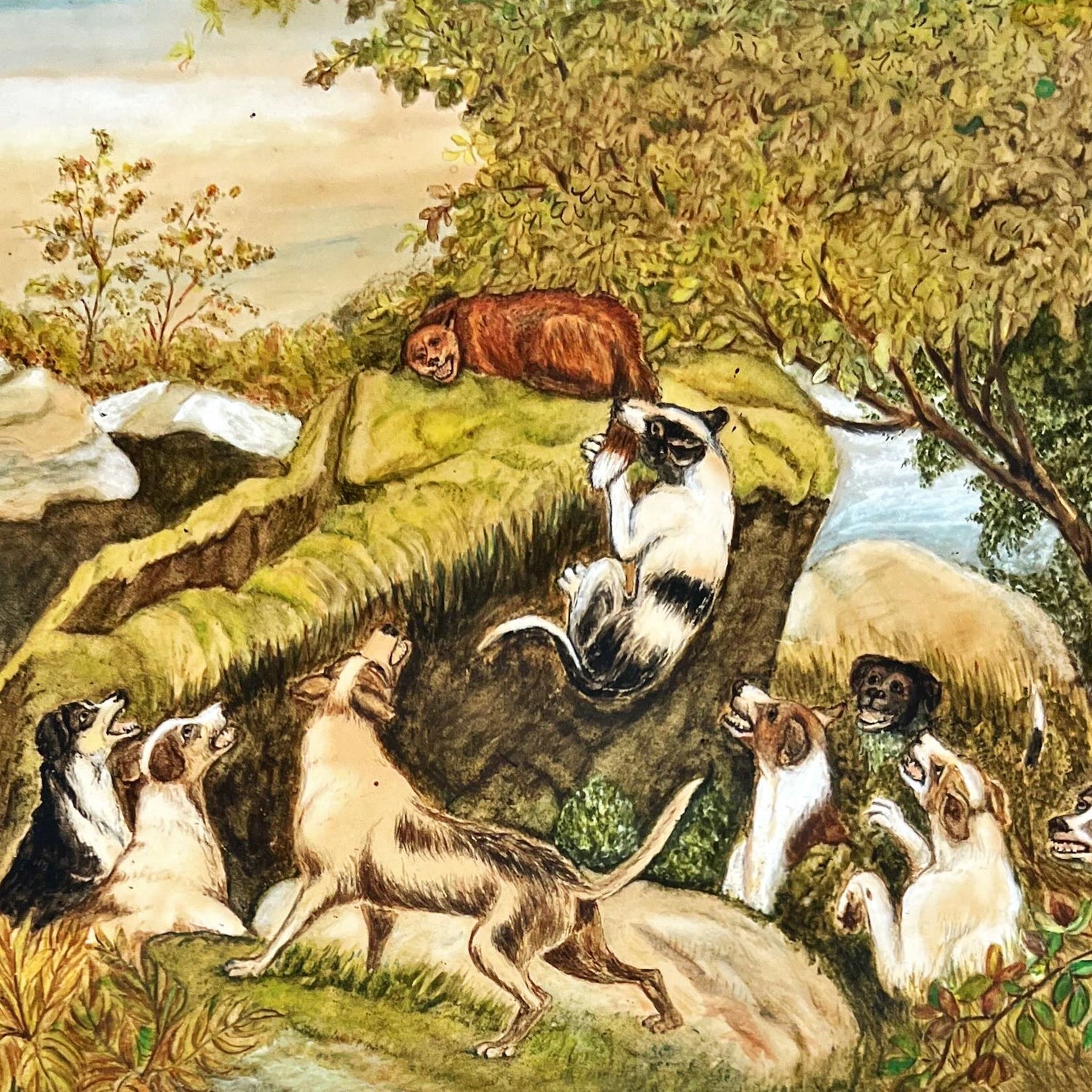 print, Animals Ross, Cover view