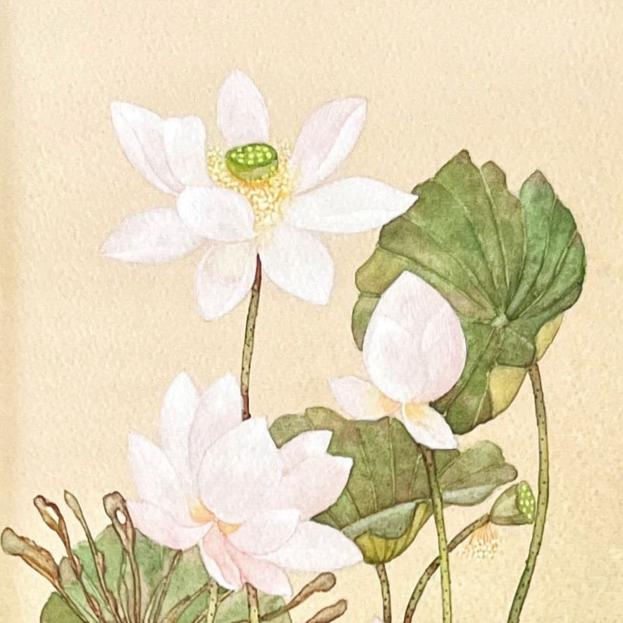 Watercolour painting, Floral Unknown Artist, Cover view