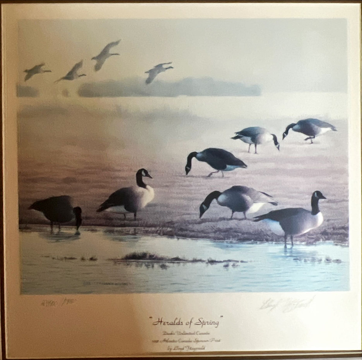  painting, Waterfowl Lloyd Fitzgerald, Art view