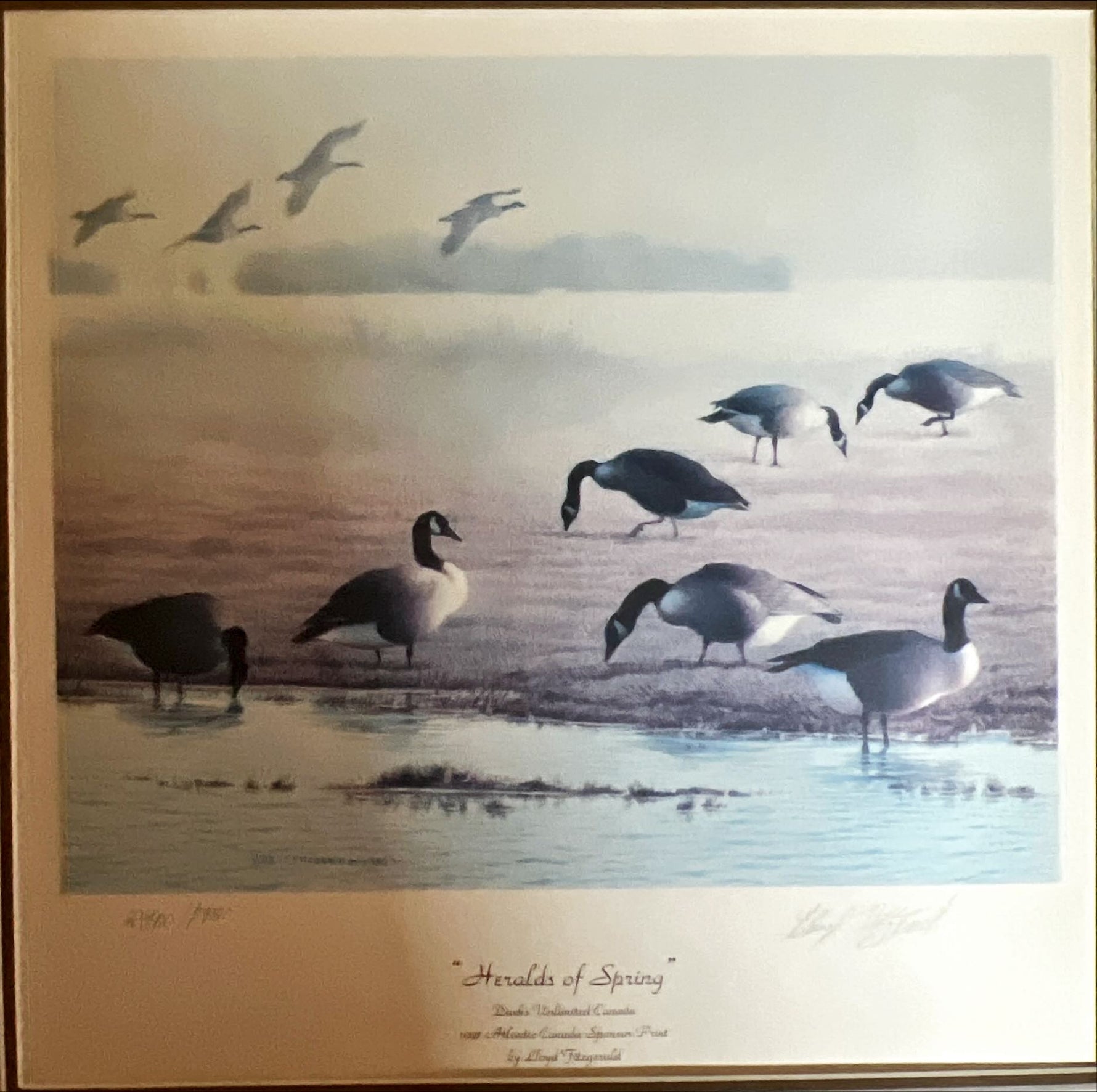  painting, Waterfowl Lloyd Fitzgerald, Art view