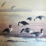  painting, Waterfowl Lloyd Fitzgerald, Cover view