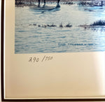  painting, Waterfowl Lloyd Fitzgerald, Edition view