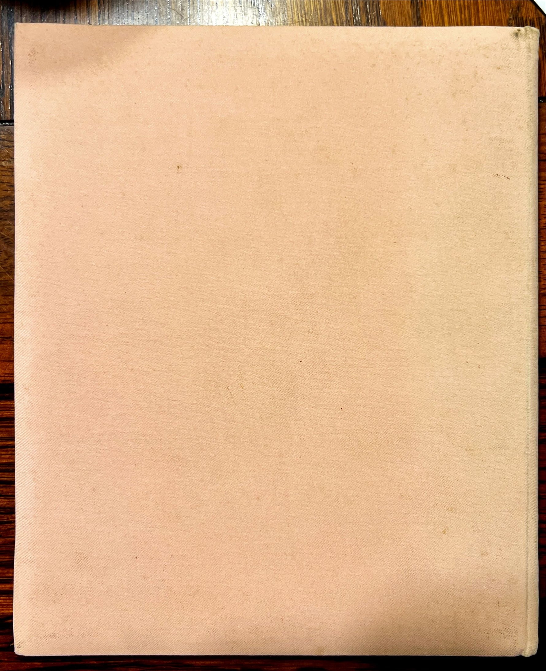 Book, History, E.P. Dutton & Co., Our Baby’s History, Back view