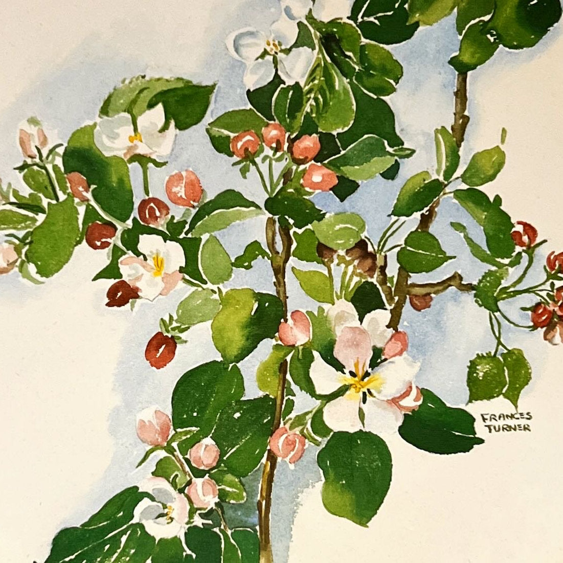 print, Floral Frances Turner, Cover view