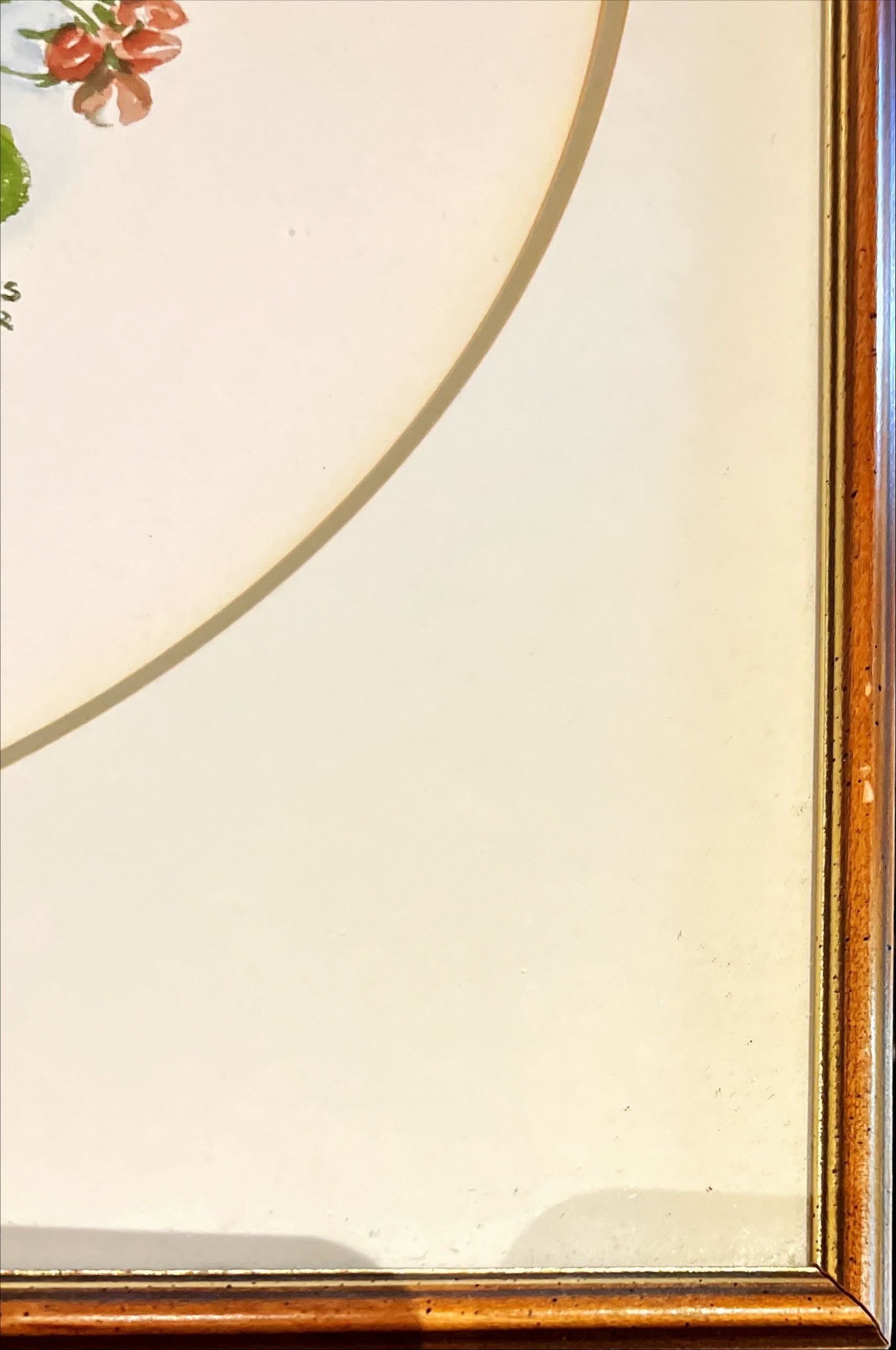 Print, Floral, Frances Turner, Damage view