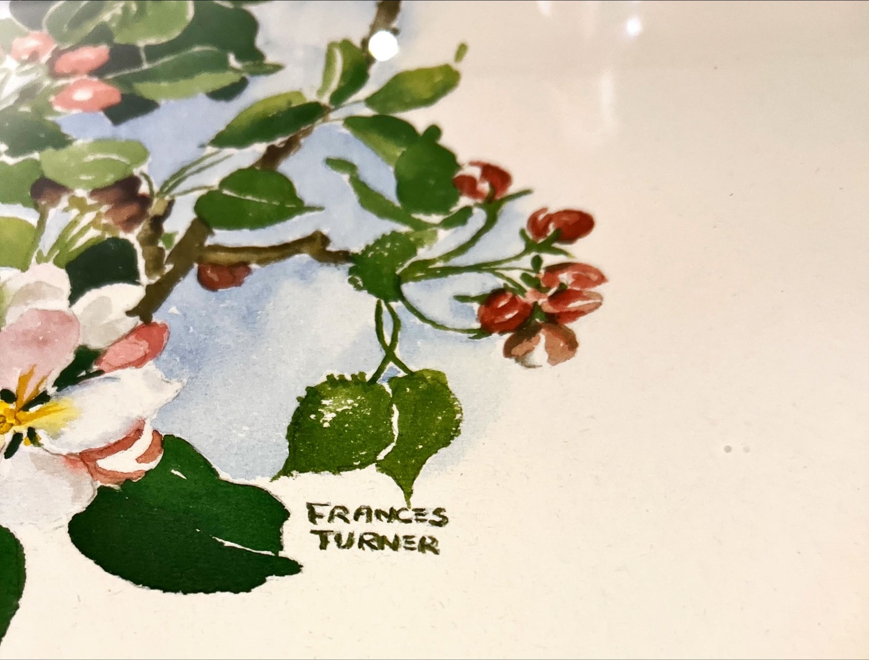 Print, Floral, Frances Turner, Signature view