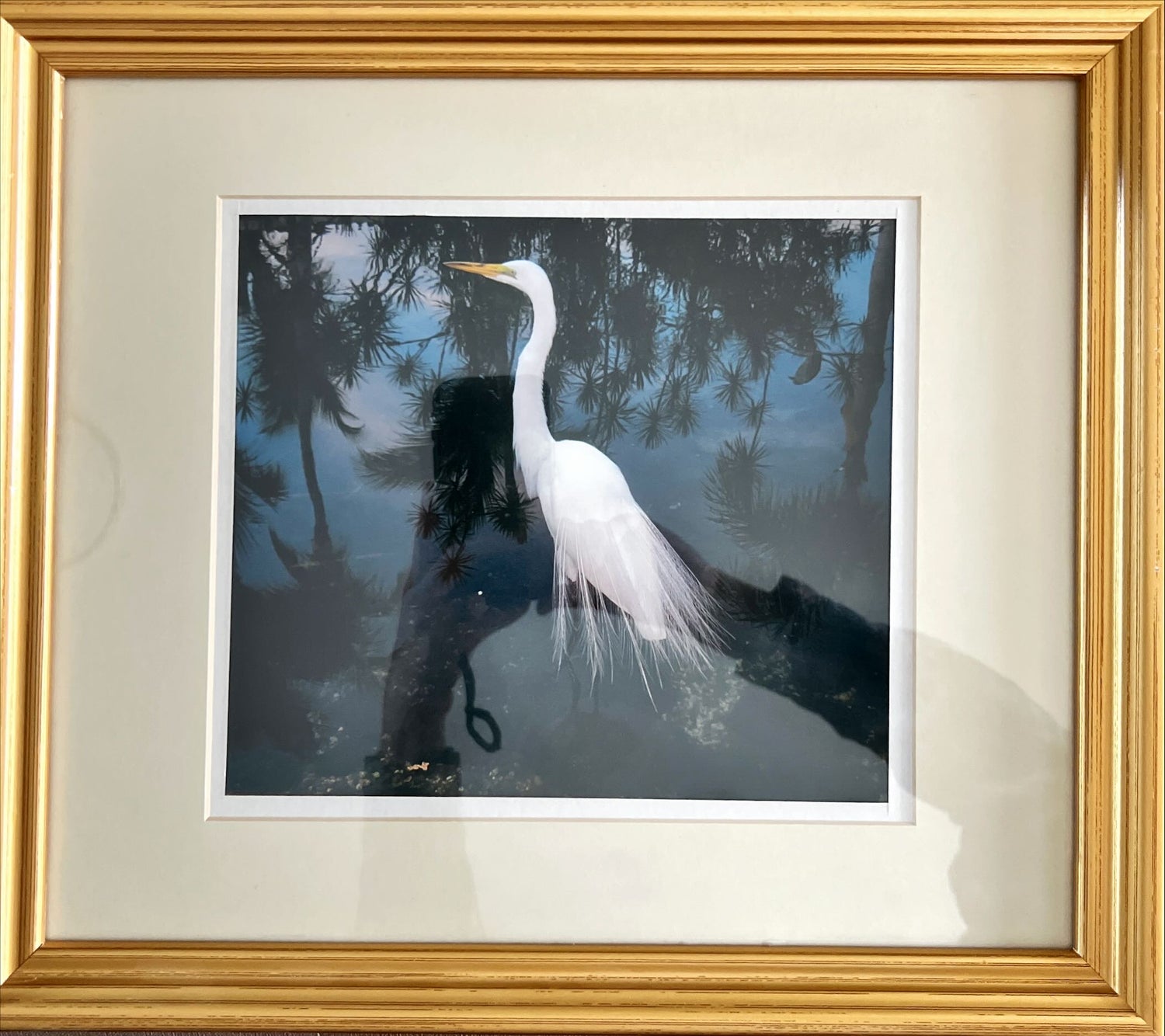 Print, Animals, Unknown Artist, Front view