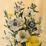 print, Floral Jane Wells Webb Loudon, Cover view