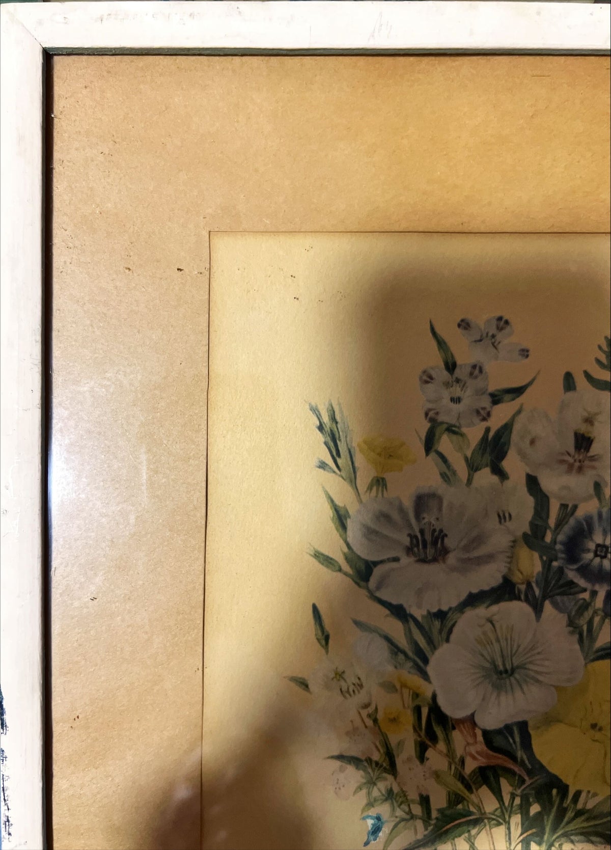 Print, Floral, Jane Wells Webb Loudon, Damage view