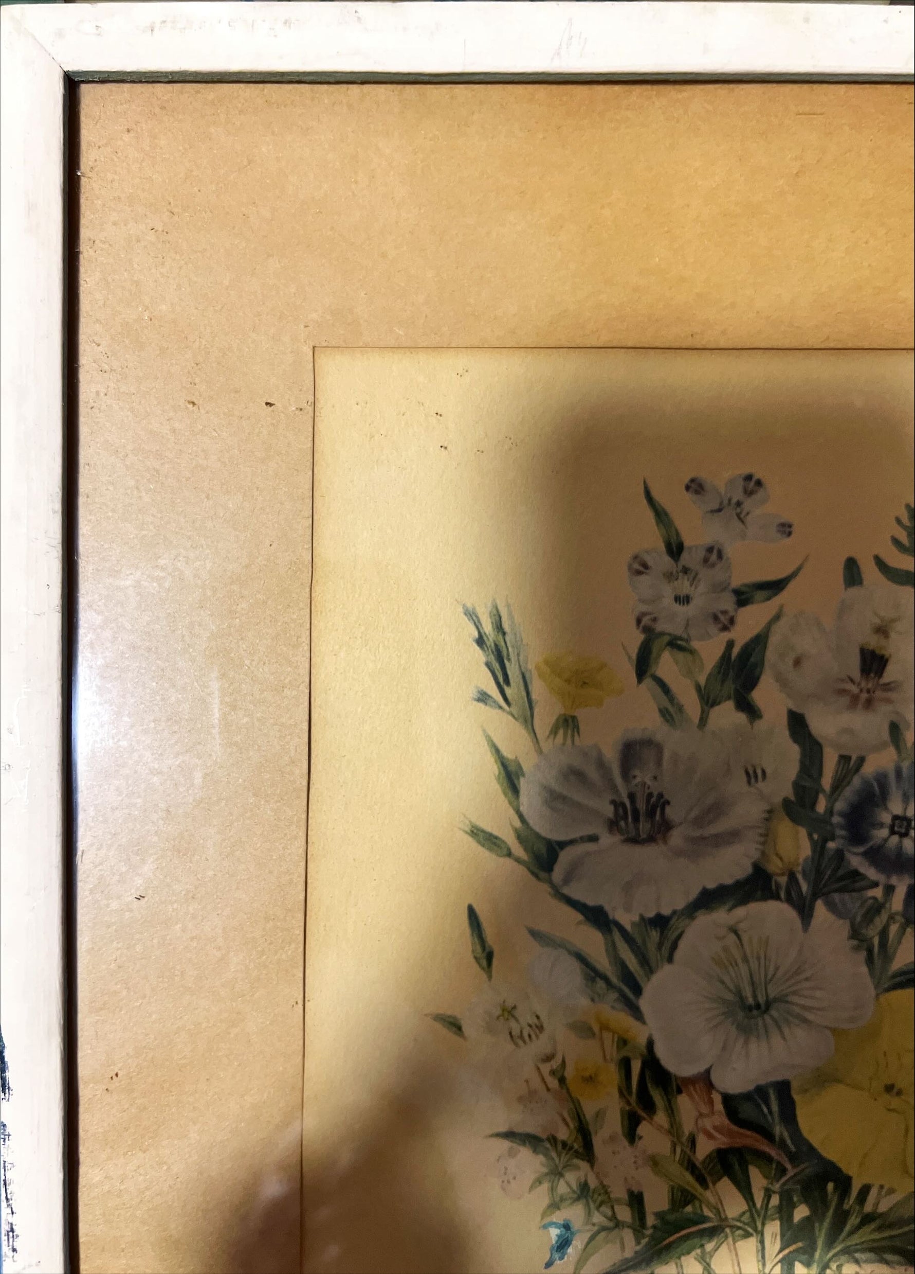 Print, Floral, Jane Wells Webb Loudon, Damage view