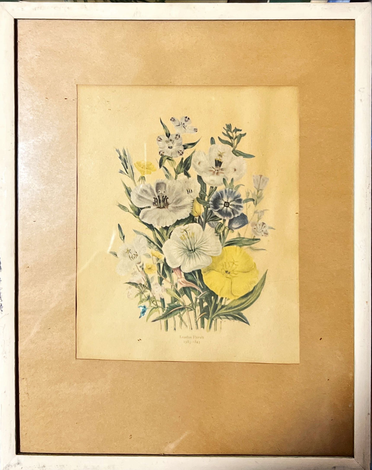 Print, Floral, Jane Wells Webb Loudon, Front view