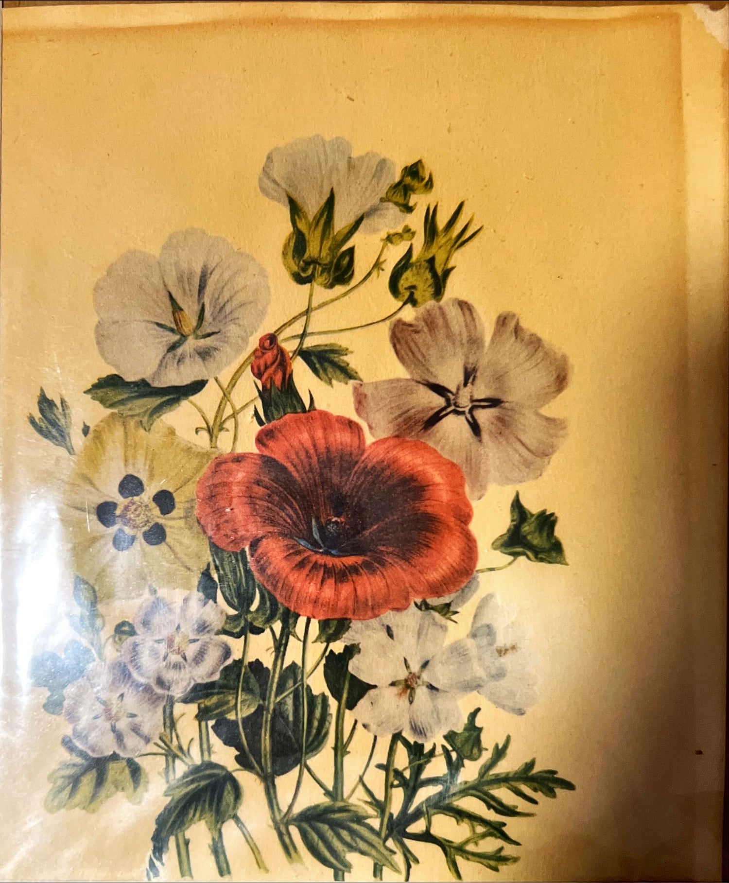 Print, Floral, Jane Wells Webb Loudon, Art view