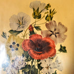 print, Floral Jane Wells Webb Loudon, Cover view