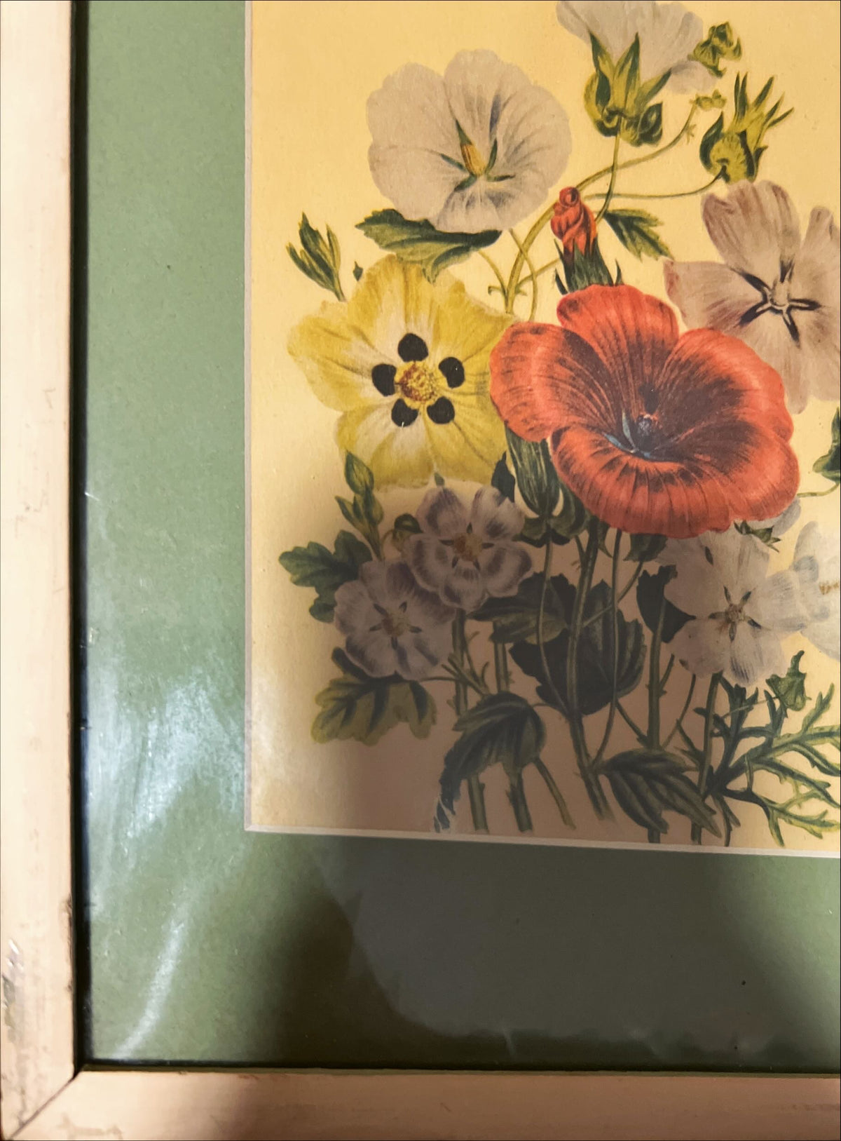 Print, Floral, Jane Wells Webb Loudon, Damage view
