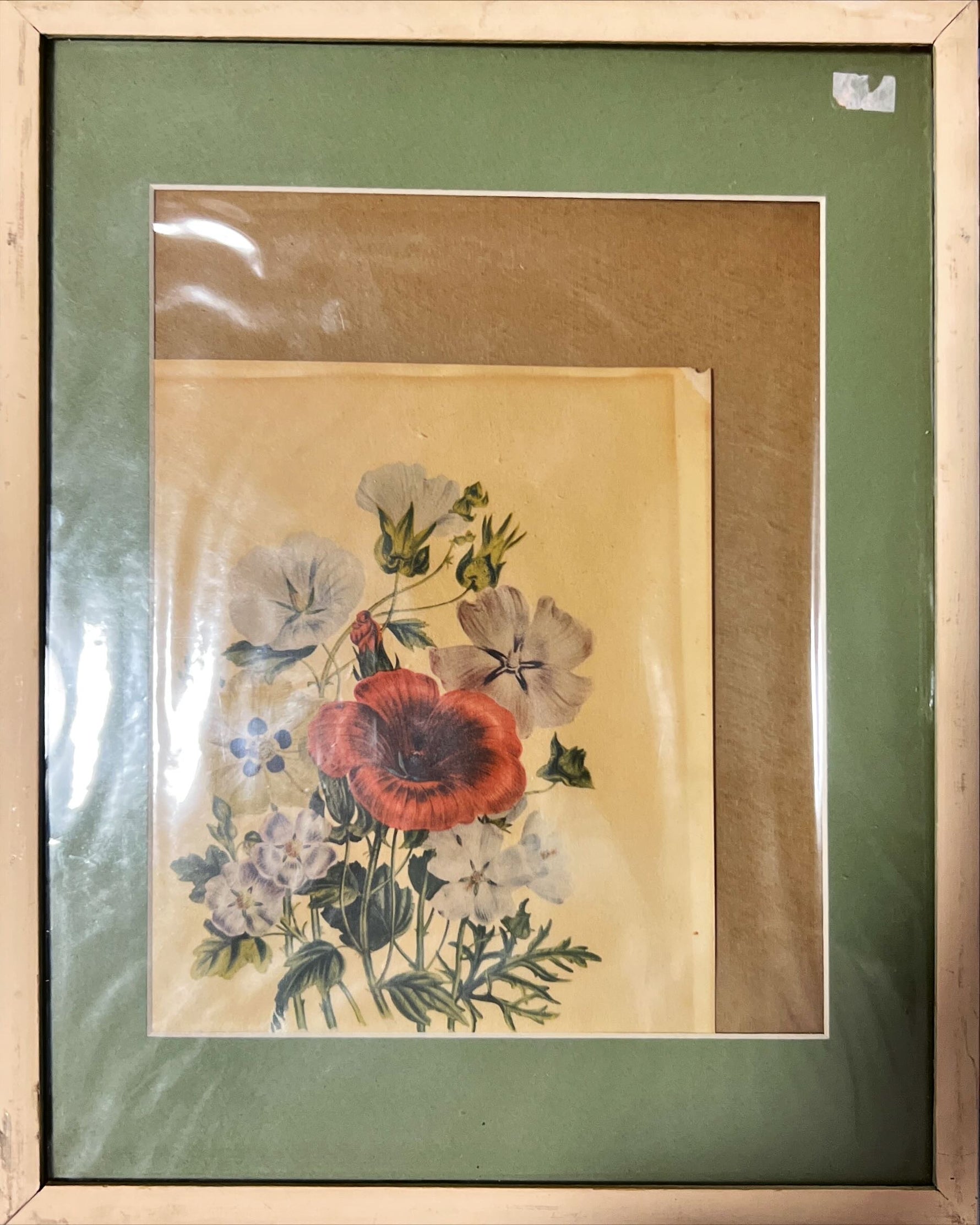 Print, Floral, Jane Wells Webb Loudon, Front view
