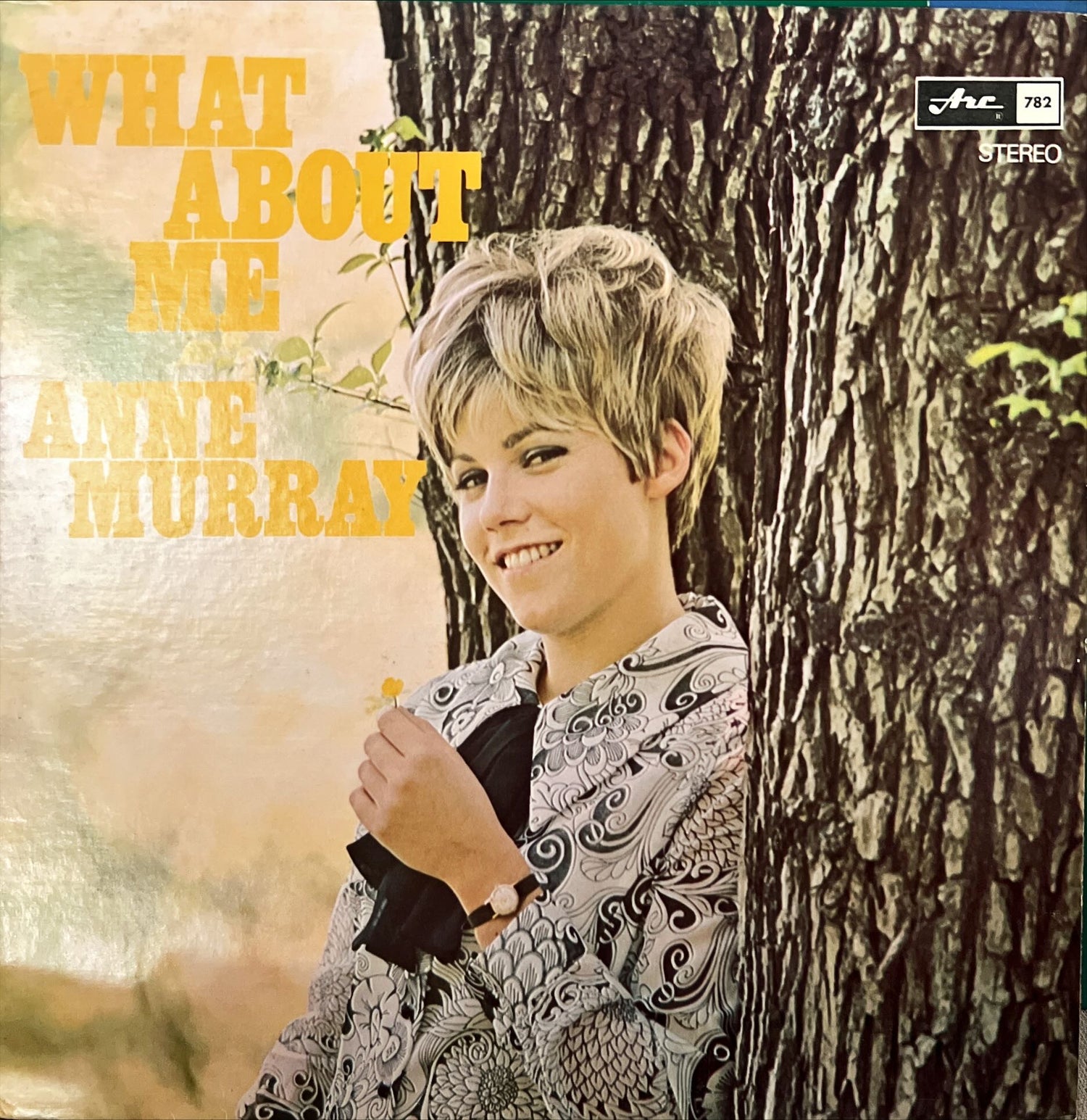 Vinyl record, Pop Anne Murray, Front view