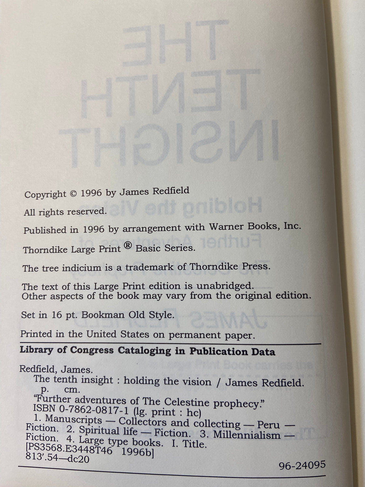 Book, Fiction, James Redfield, The Tenth Insight: Holding the Vision, Inside view