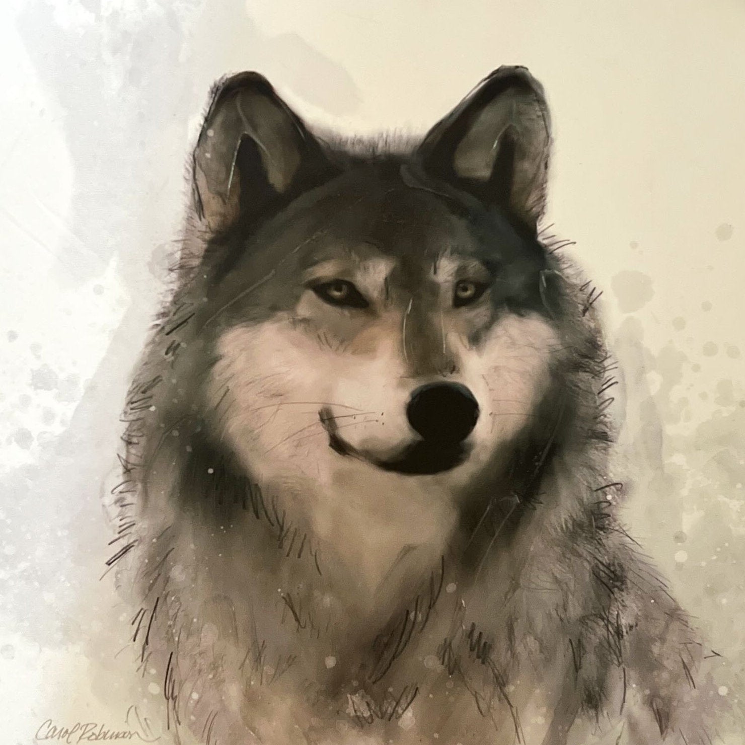 print, Animals Carol Robinson, Cover view