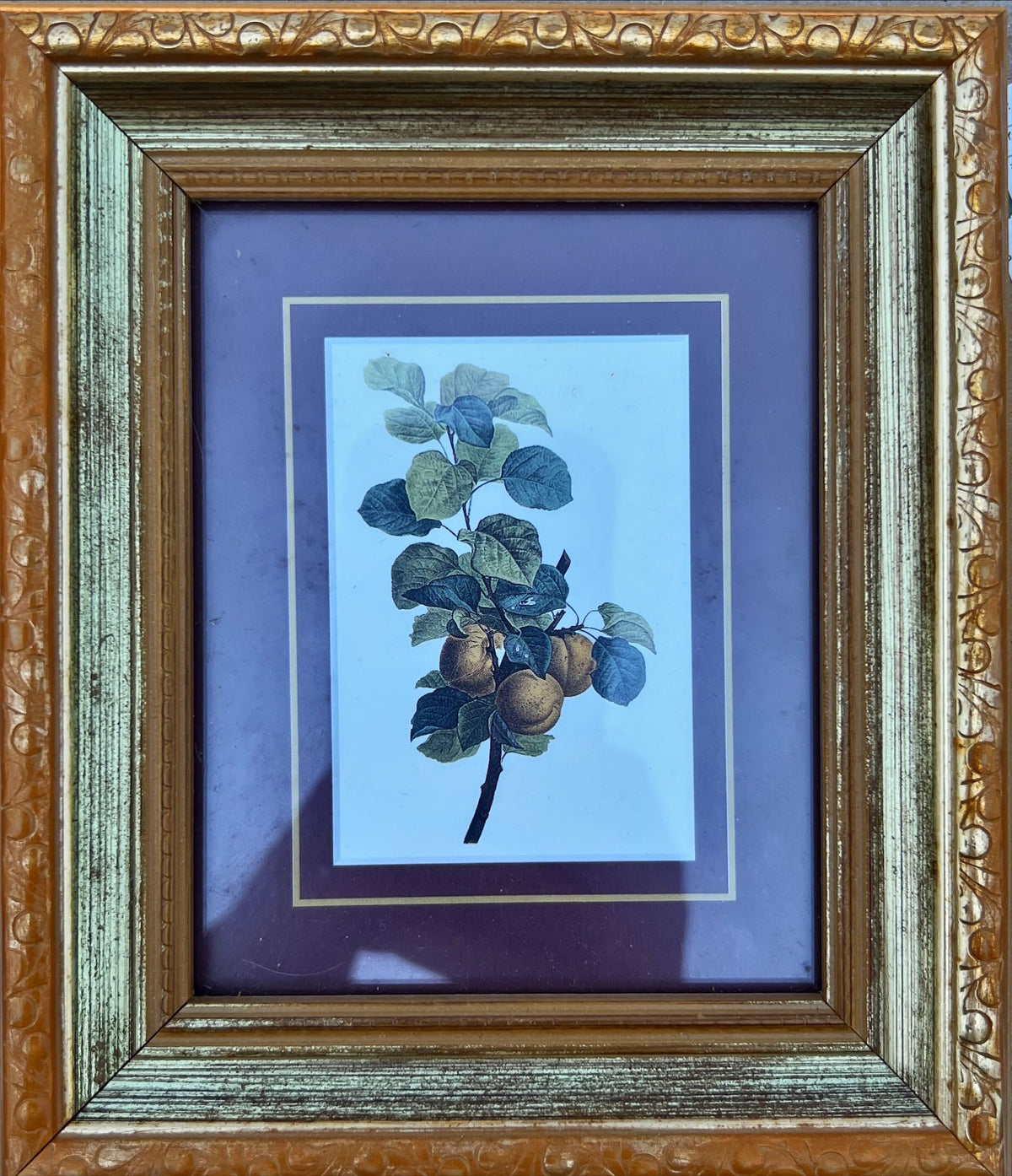 Print, Floral, Marilyn Simandle, Front view