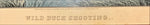 Print, Sport, N. Currier, Tirle view