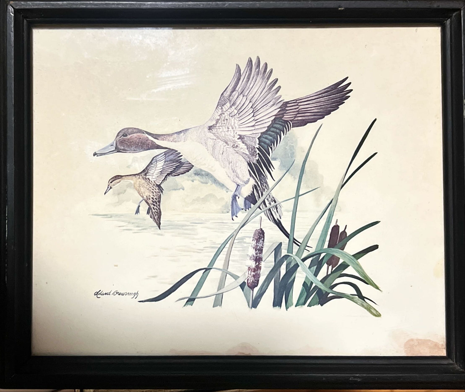 Print, Waterfowl, Leland Brewsaugh, Front view