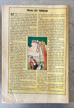Comic, Collectibles, Walter Van Tilburg Clark, The Ox-Bow Incident (Comics Illustrated) – Missing Cover, Back view